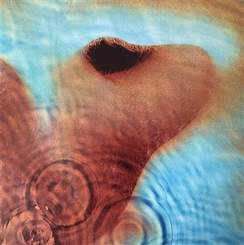 Pink Floyd  Meddle